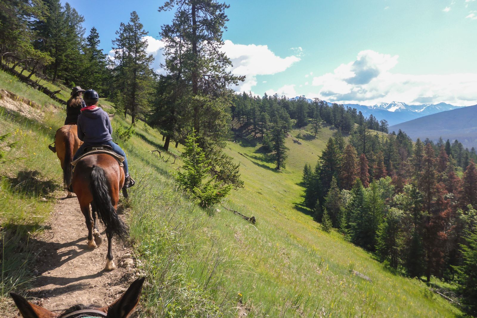 Maja Sebode macht einen Ausritt mit Jasper Park Riding Stables im Jasper National Park