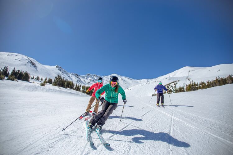 Gruppe von Skifahrern befährt Piste im Skigebiet Marmot Basin in Alberta Gruppe von Skifahrern befährt Piste im Skigebiet Marmot Basin in Alberta
