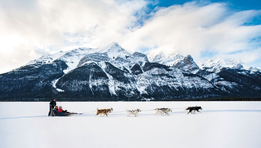 Mit dem Hundeschlitten durch die bezaubernde Schneelandschafft von Kananaskis Mit dem Hundeschlitten durch die bezaubernde Schneelandschafft von Kananaskis