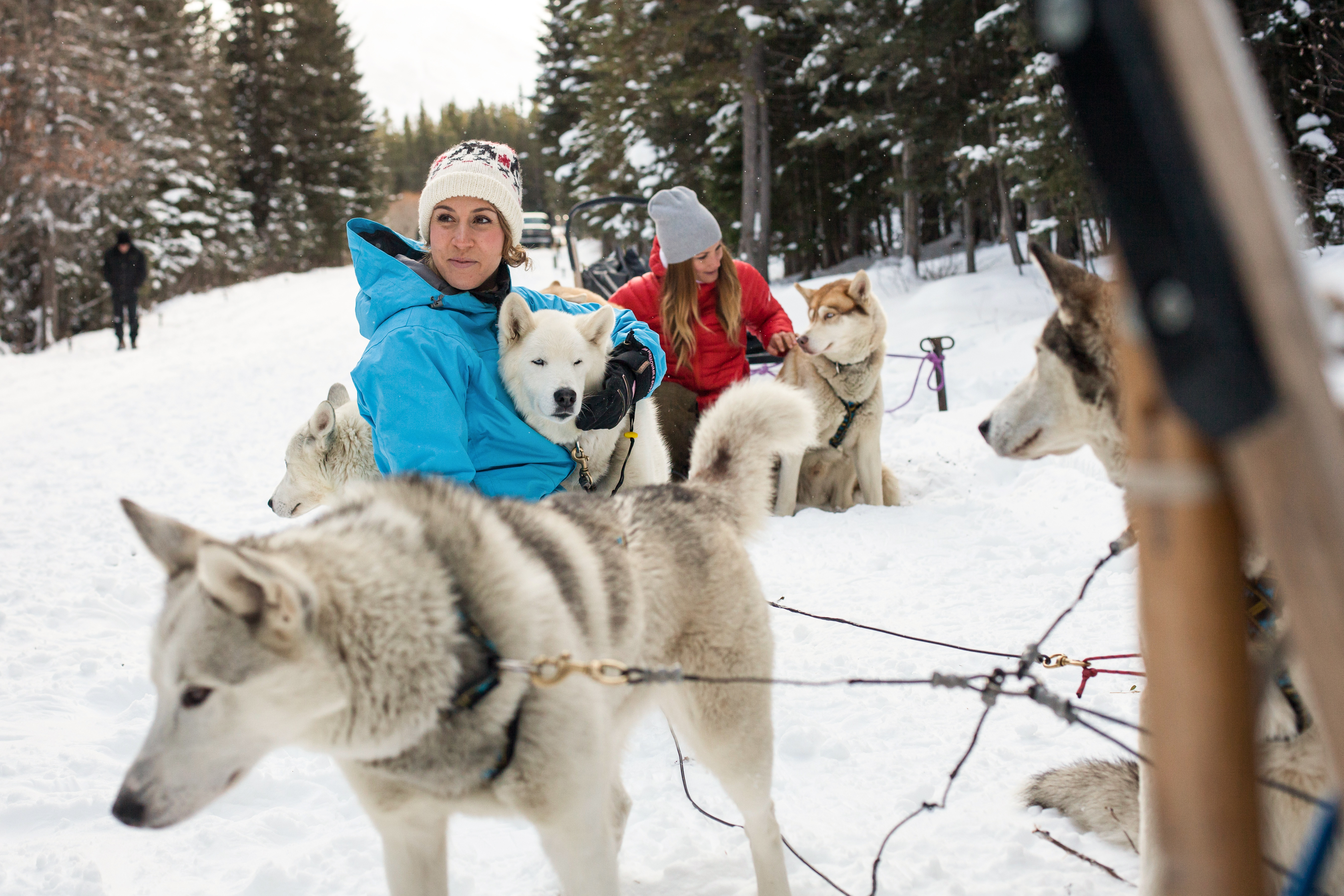 Mit Huskies durch die Schneelandschaft von Kananaskis