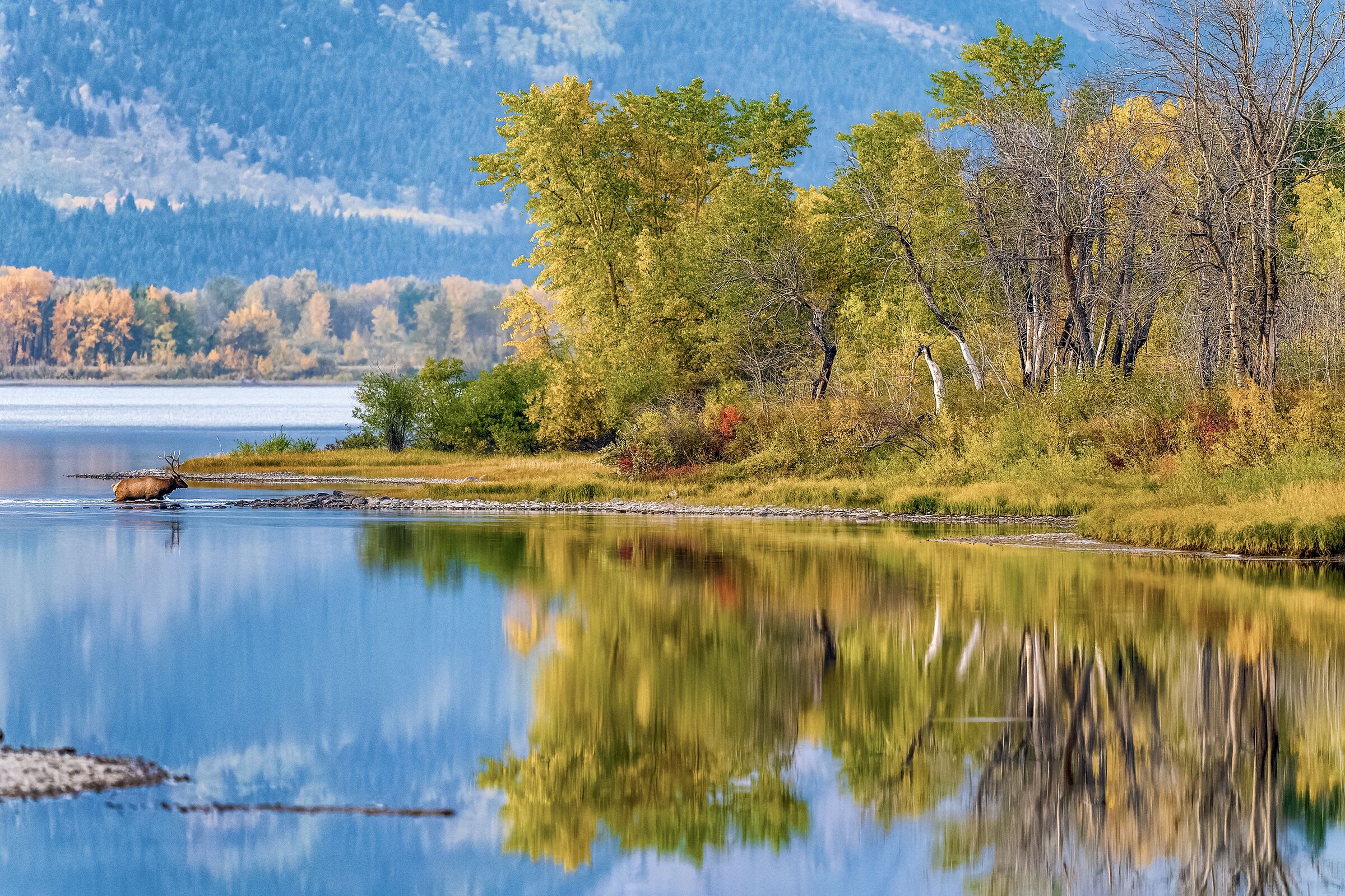 Waterton Lake im Licht des Morgengrauens im Waterton National Park