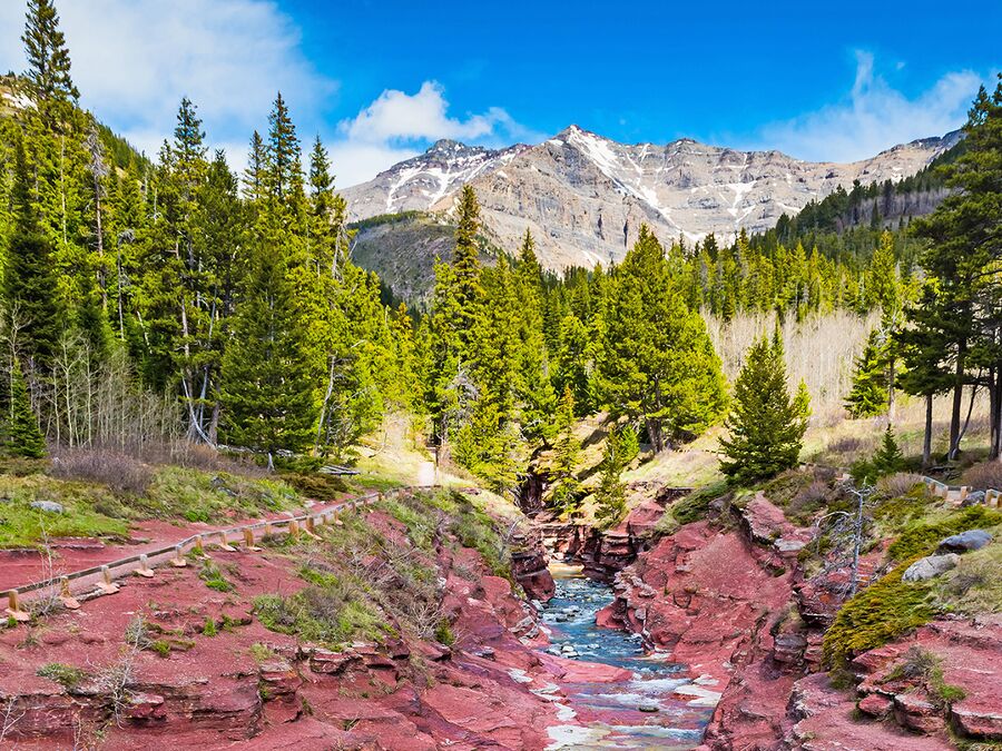 Das Wasser rauscht durch den Red Rock Canyon im Waterton Lakes National Perk in Alberta