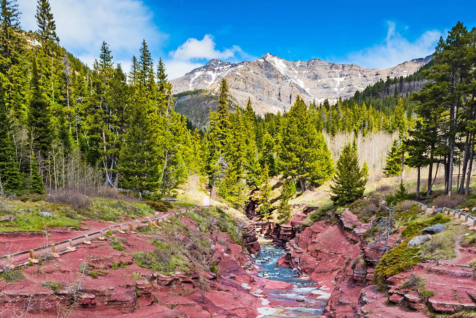Das Wasser rauscht durch den Red Rock Canyon im Waterton Lakes National Perk in Alberta