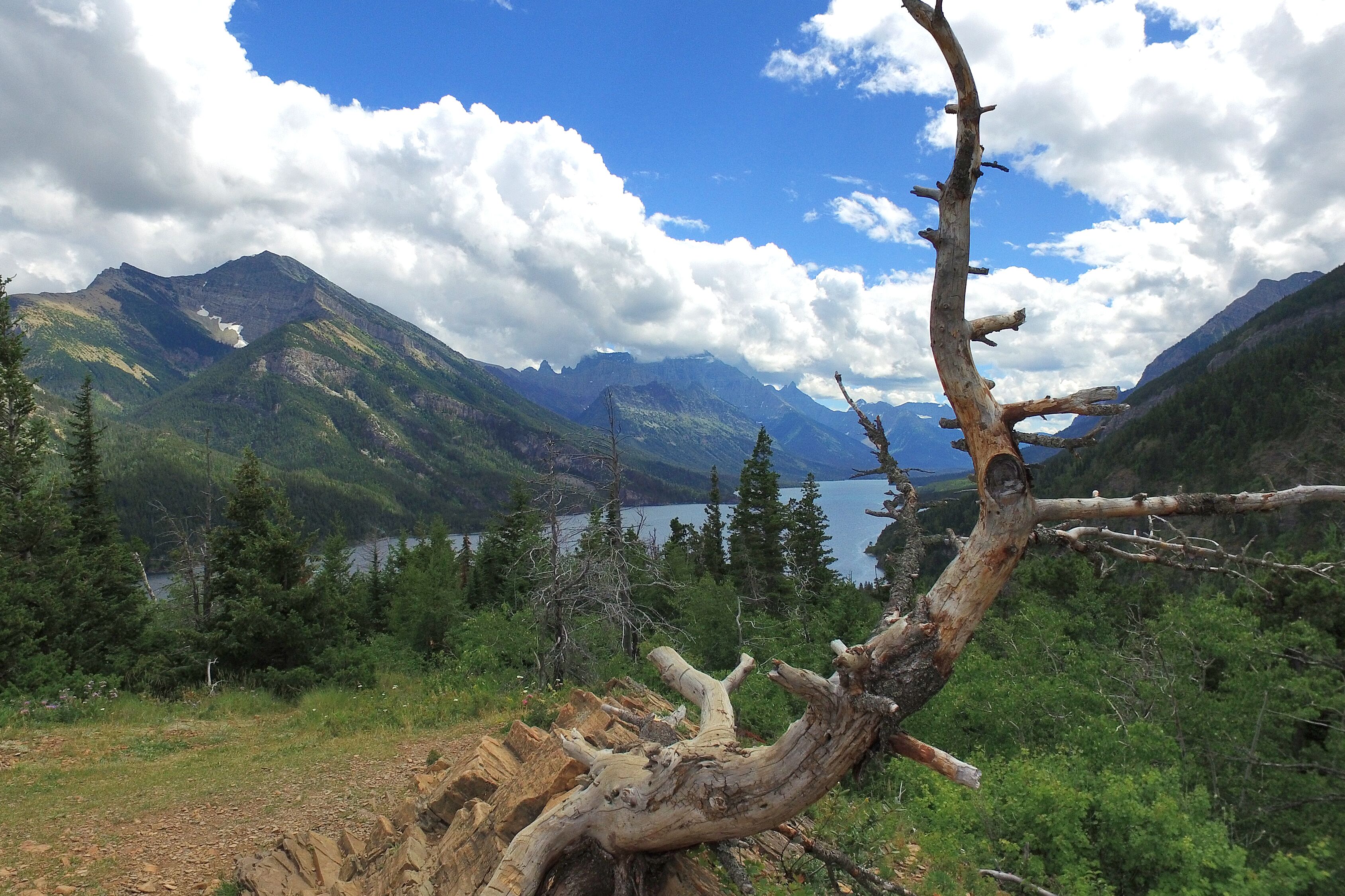 Blick auf die Natur am Waterton Lake in Alberta