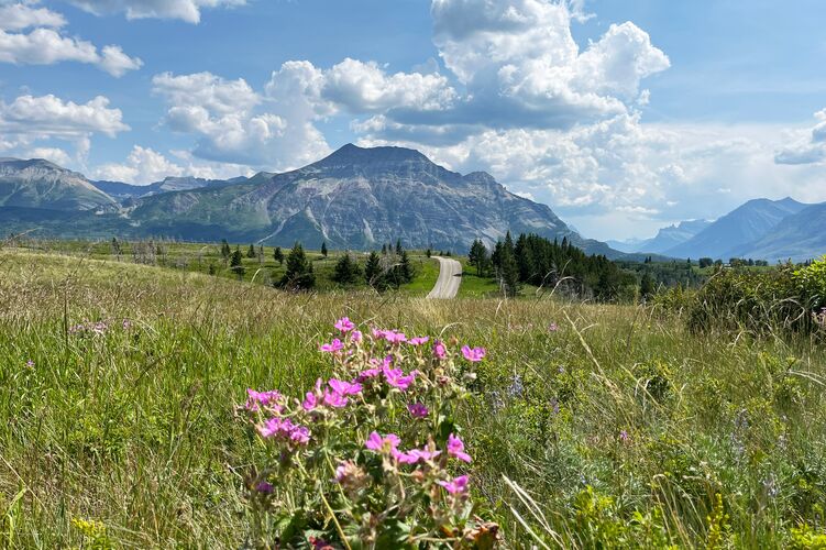 Idylle im Waterton Lakes National Park