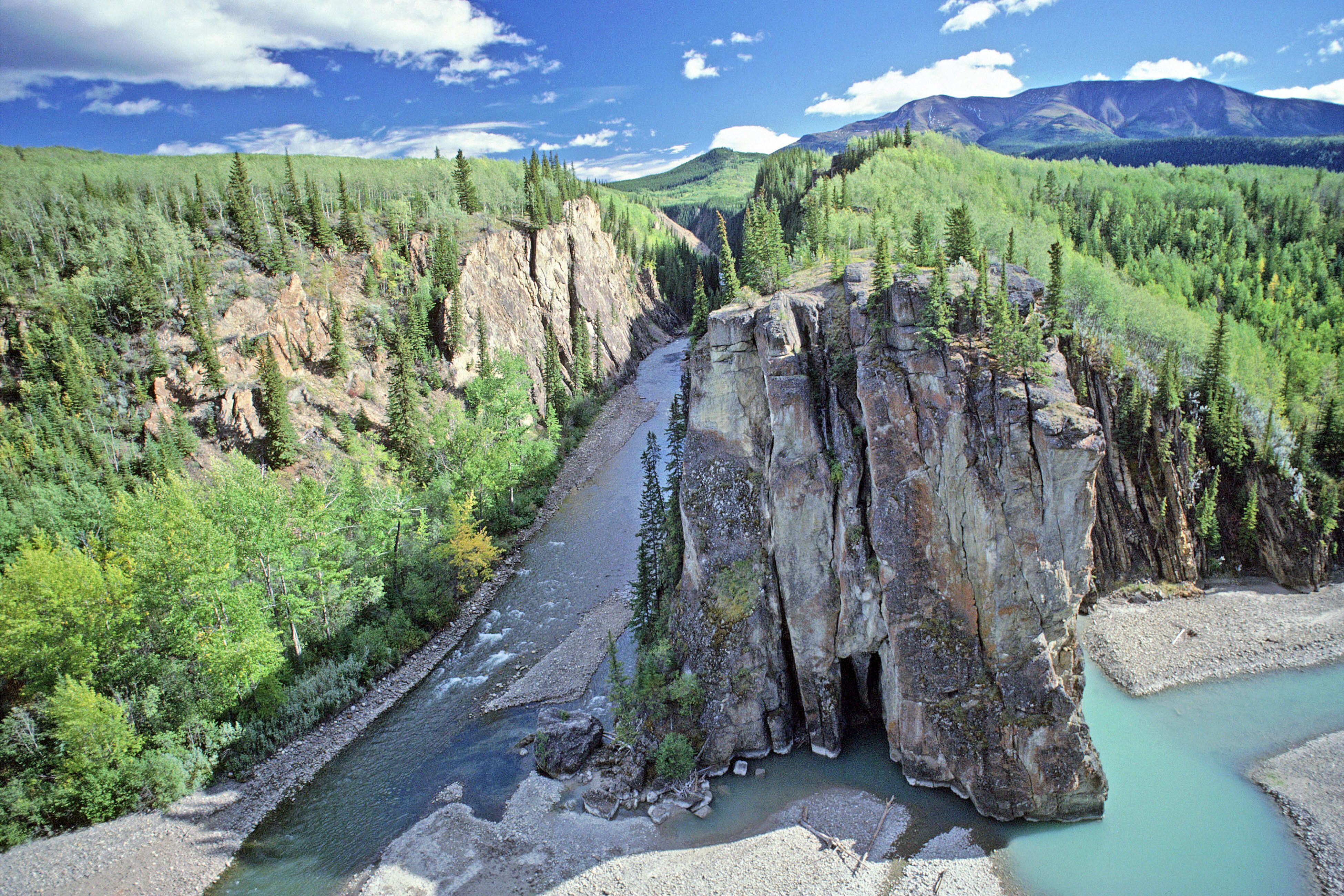Bzarre Natur im Willmore Wilderness Park