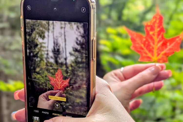 Stimmungsvolles Fotomotiv im kanadischen Herbst