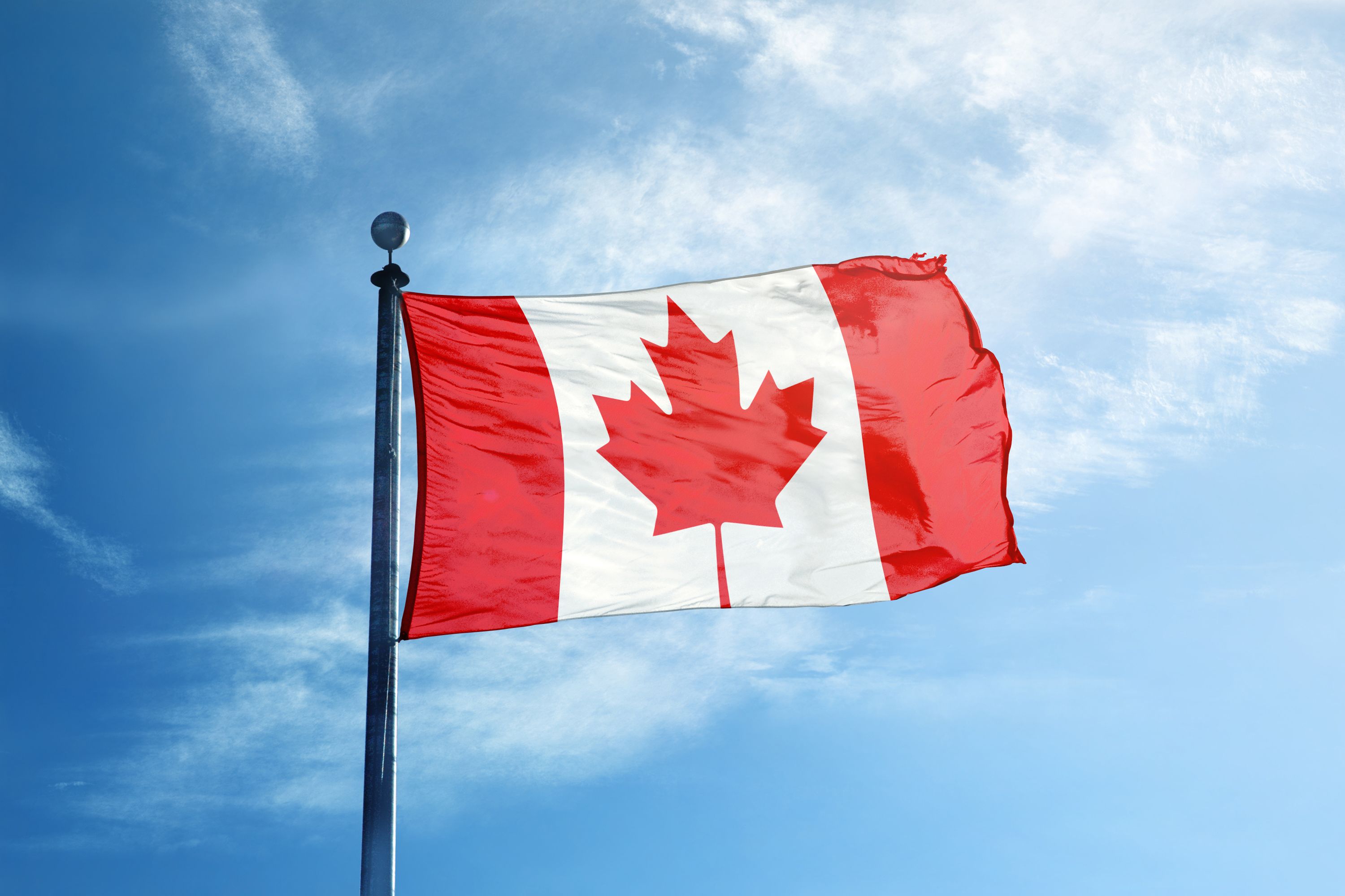 Die kanadische Flagge im Wind