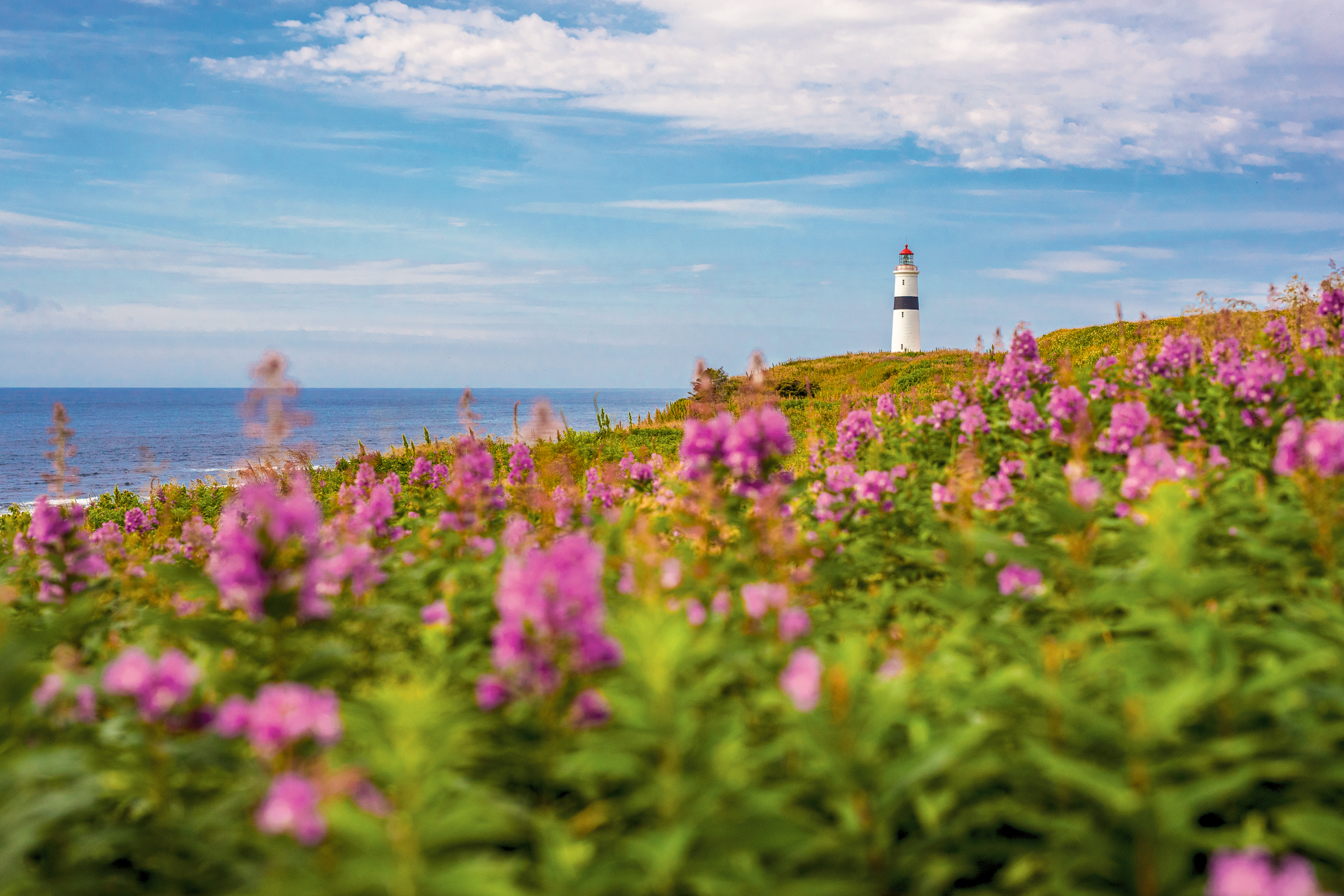 Der Point Amour Lighthouse bei Forteau in Labrador im Sommer