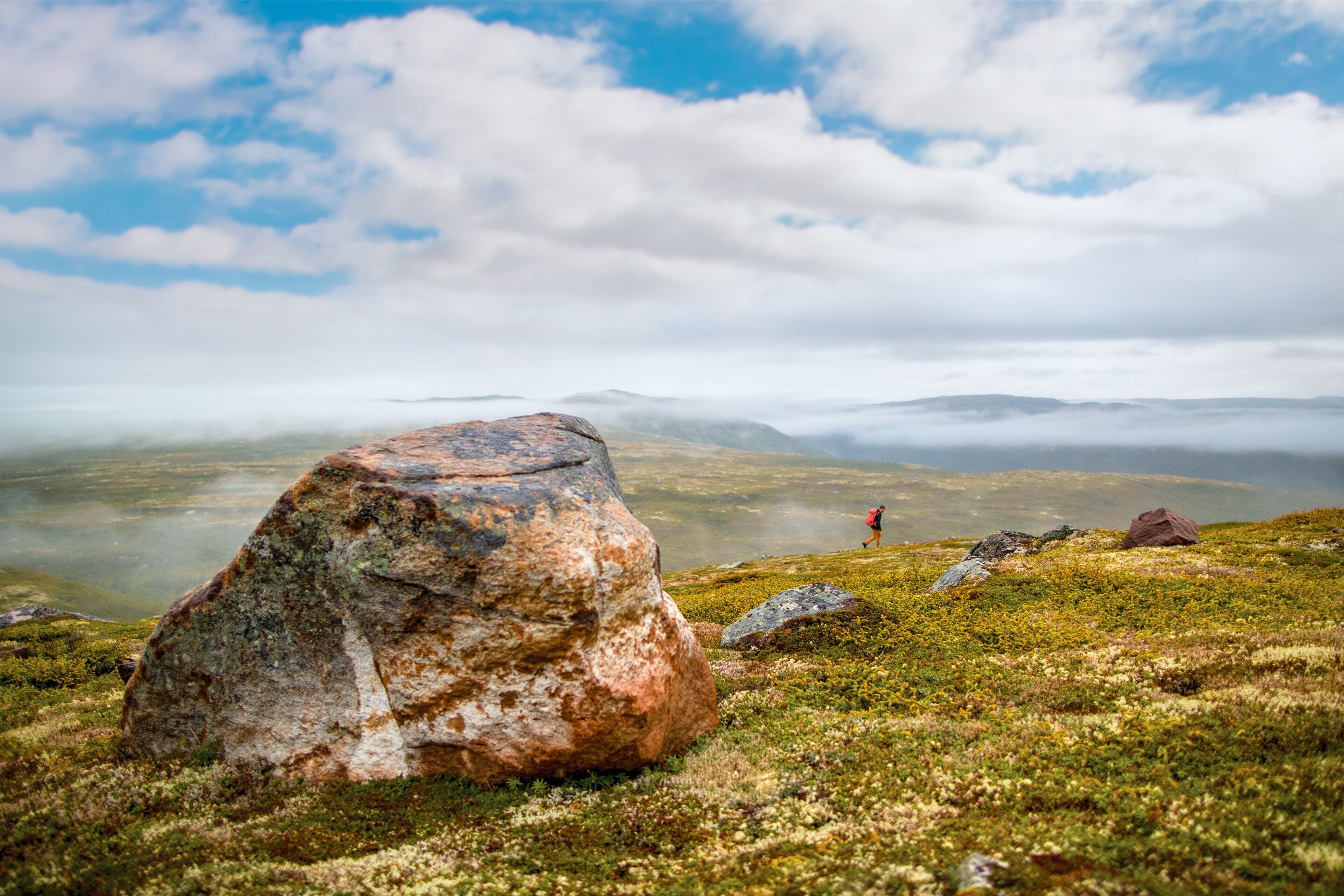 Wanderung durch den Nebel und die Weiten von Labrador