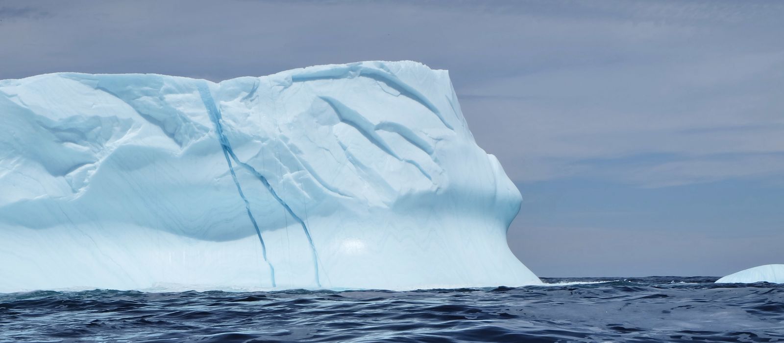 Ein Eisberg wÃ¤hrend einer Happy Adenture Tour, Neufundland