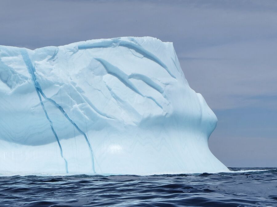 Ein Eisberg wÃ¤hrend einer Happy Adenture Tour, Neufundland