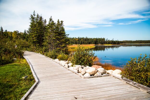 Schöner Wanderweg am See in Gander Schöner Wanderweg am See in Gander