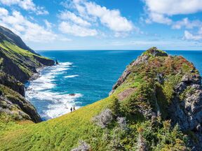 Green Gardens im Gros Morne Nationalpark
