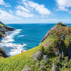 Green Gardens im Gros Morne Nationalpark