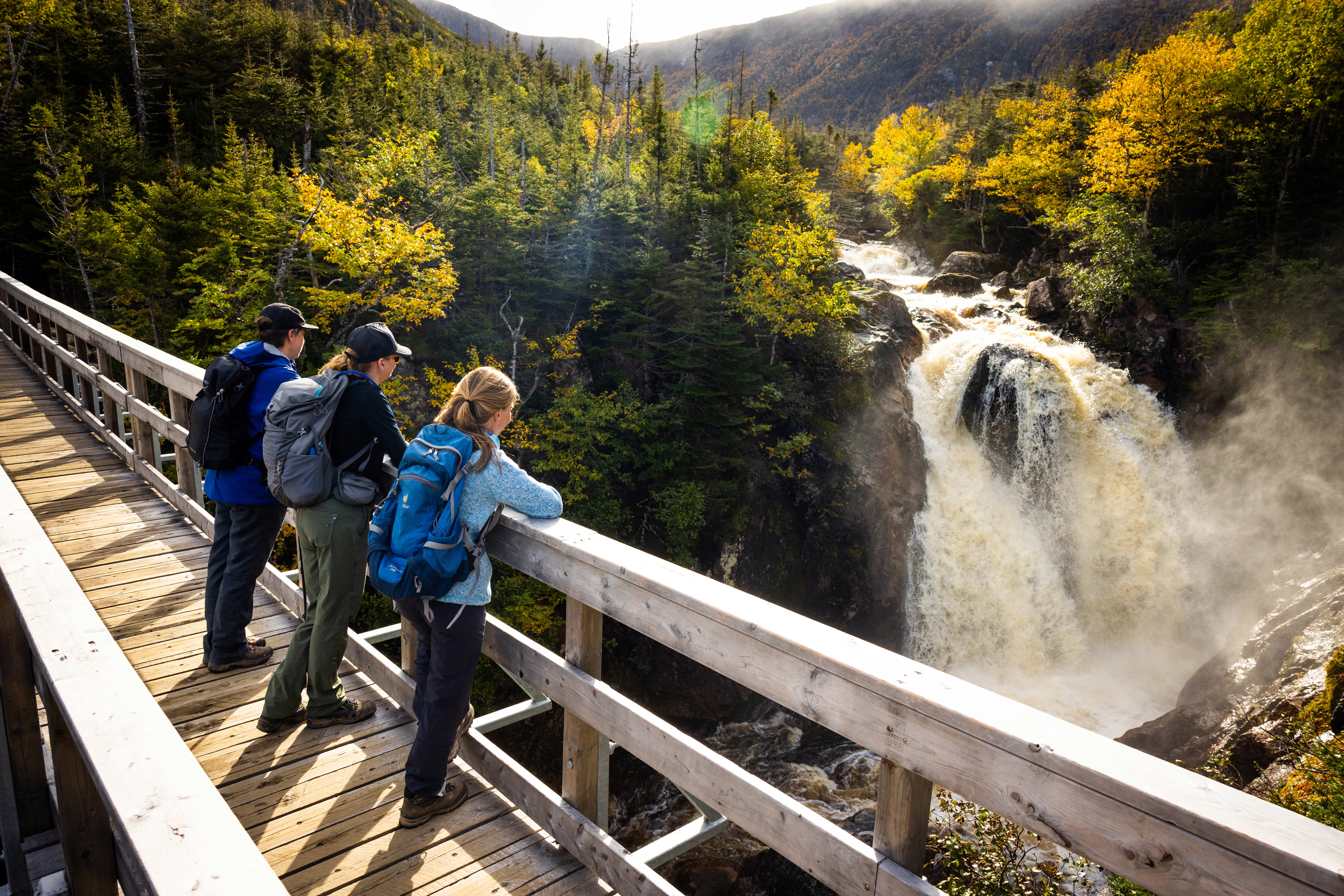 Wasserfall auf dem Gros Morne Base Trail