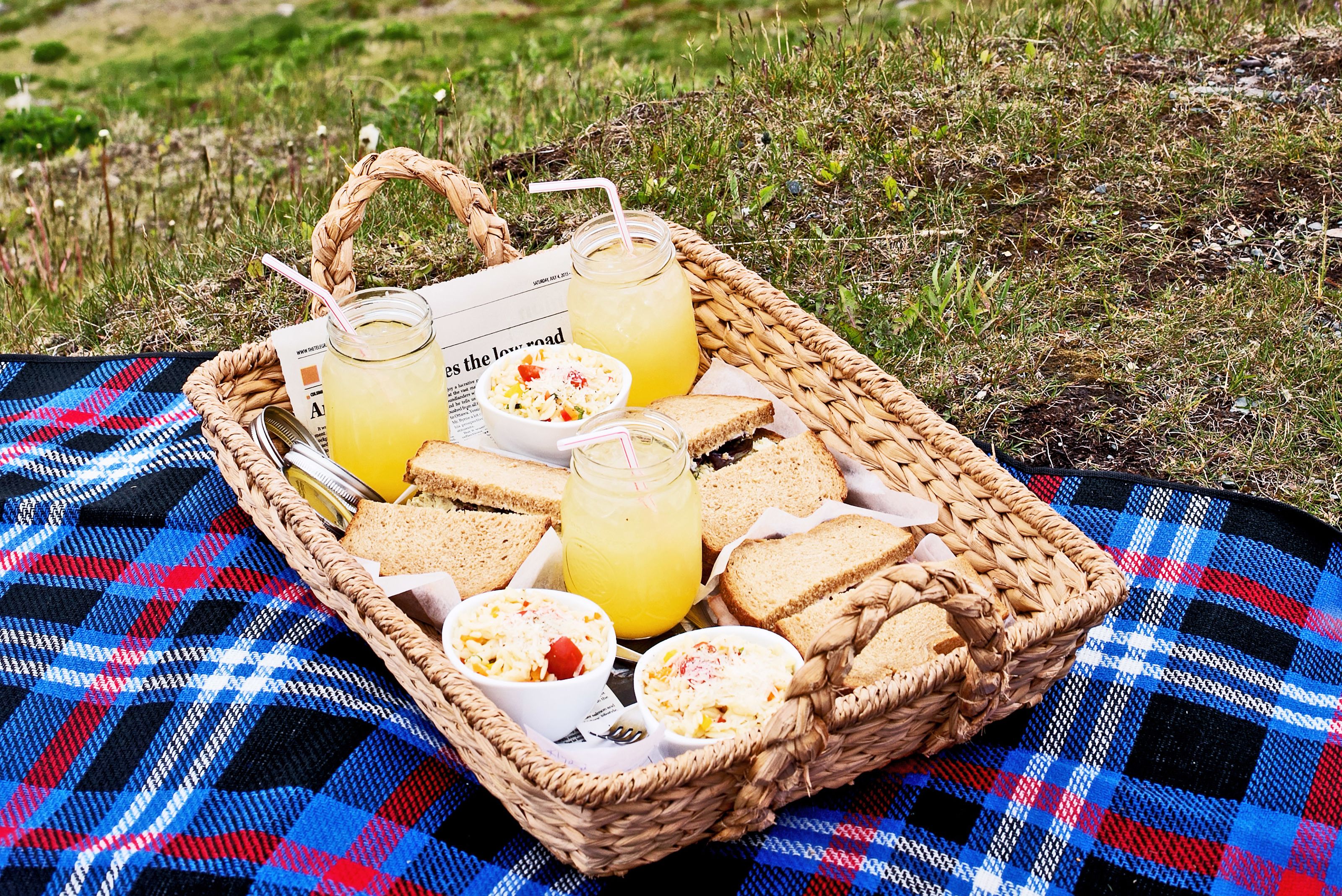 Picknick beim Leuchtturm in Ferryland, Neufundland