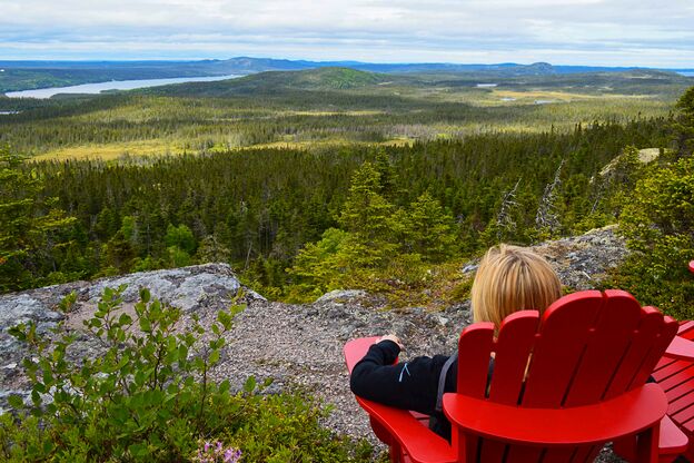 Die Aussicht auf den Terra Nova National Park in Central Newfoundland geniessen