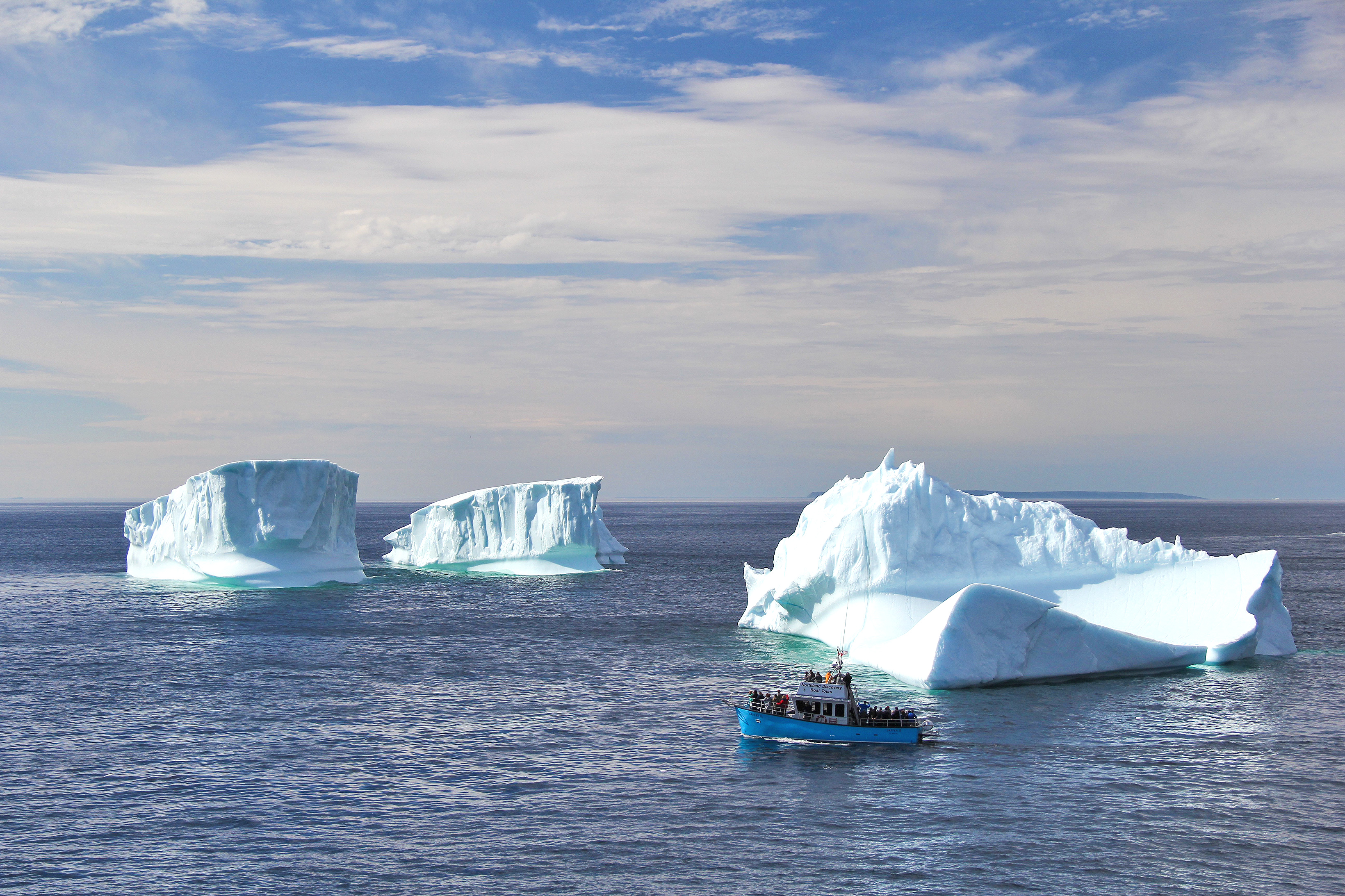 Wal- und Eisbergbeobachtunngstour durch die nördliche Iceberg Alley, St. Anthony