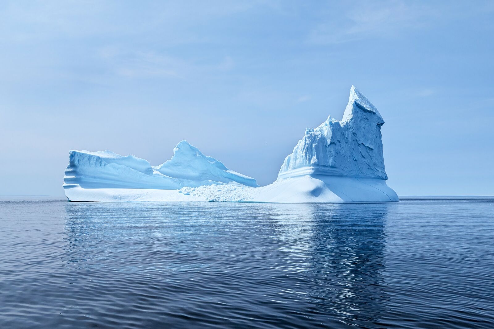 Gigant aus der Eiszeit in Neufundland