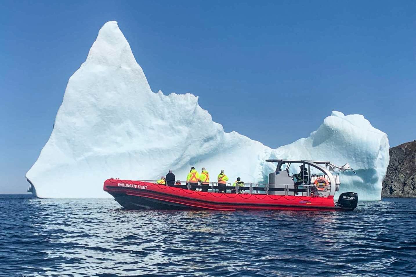 Eisbergbeobachtung mit einem Zodiac Boot von Twillingate Adventure Tours