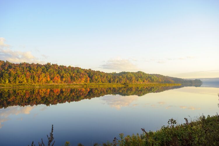 Der spiegelglatte Saint John River erstreckt sich vor farbenfroher Wald-Kulisse