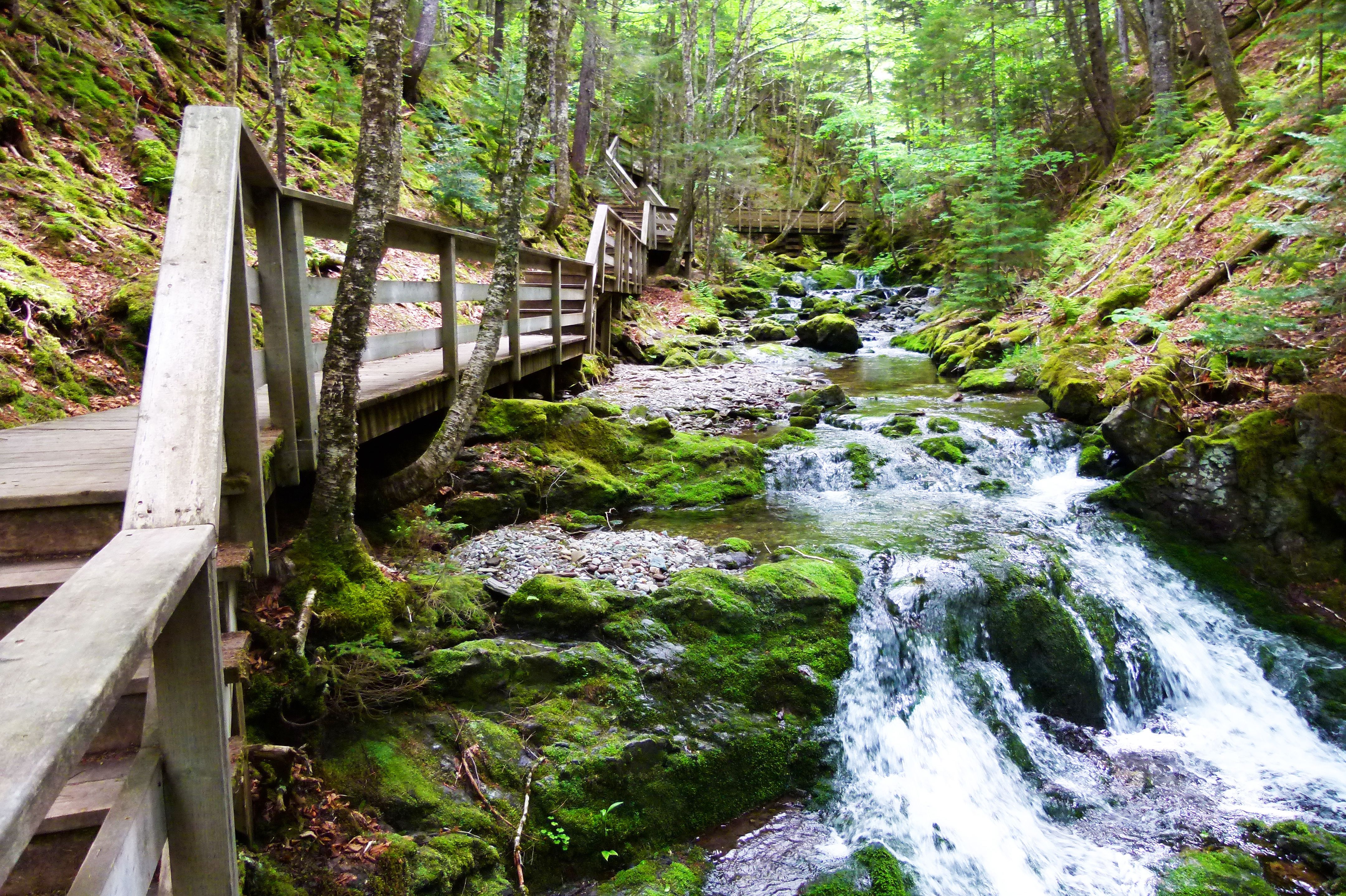 Dickson Falls Wanderweg