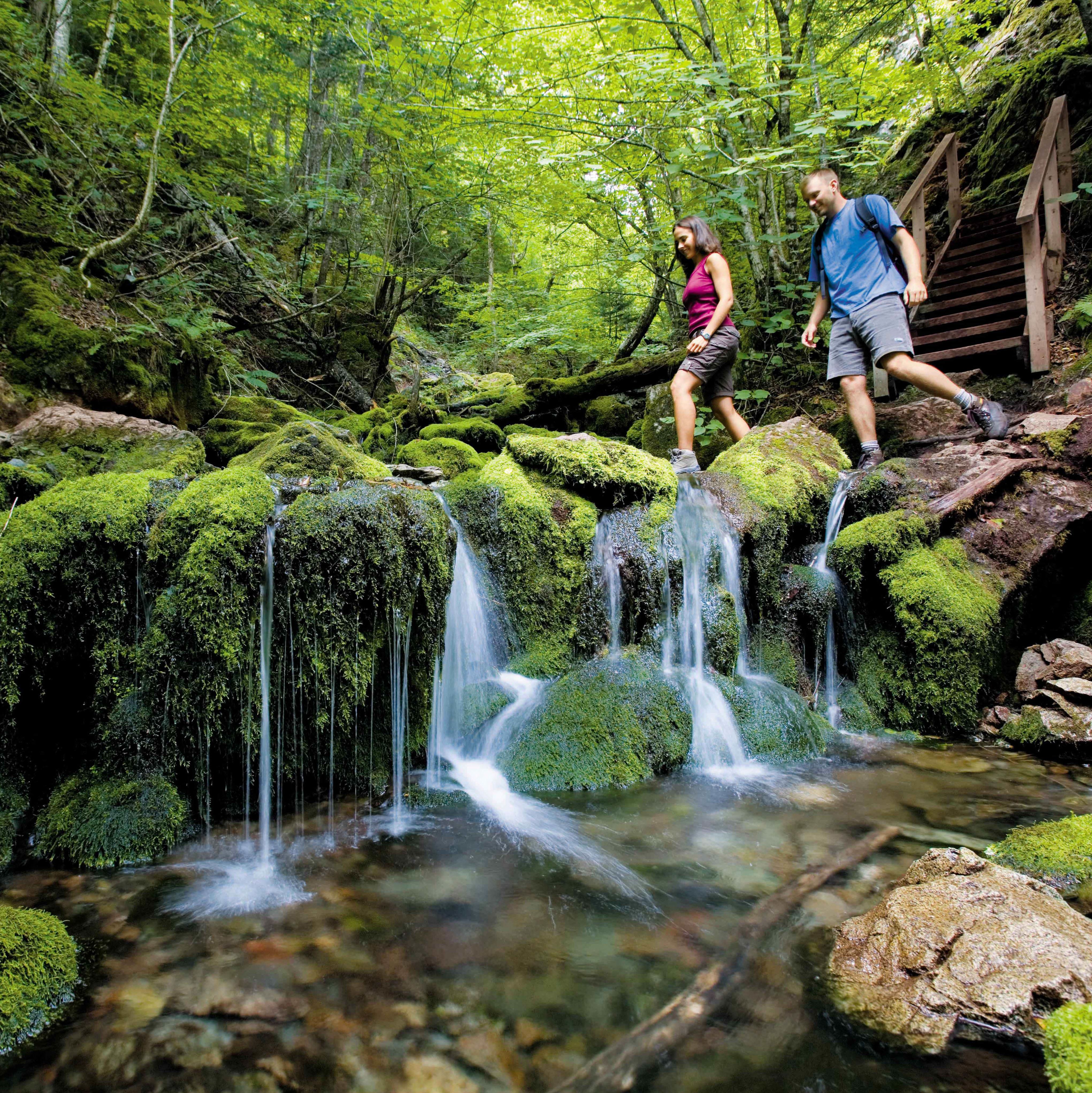 Wandern im Fundy National Park