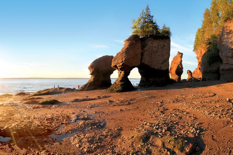 Hopewell Rocks bei Ebbe in der Bay of Fundy, New Brunswick