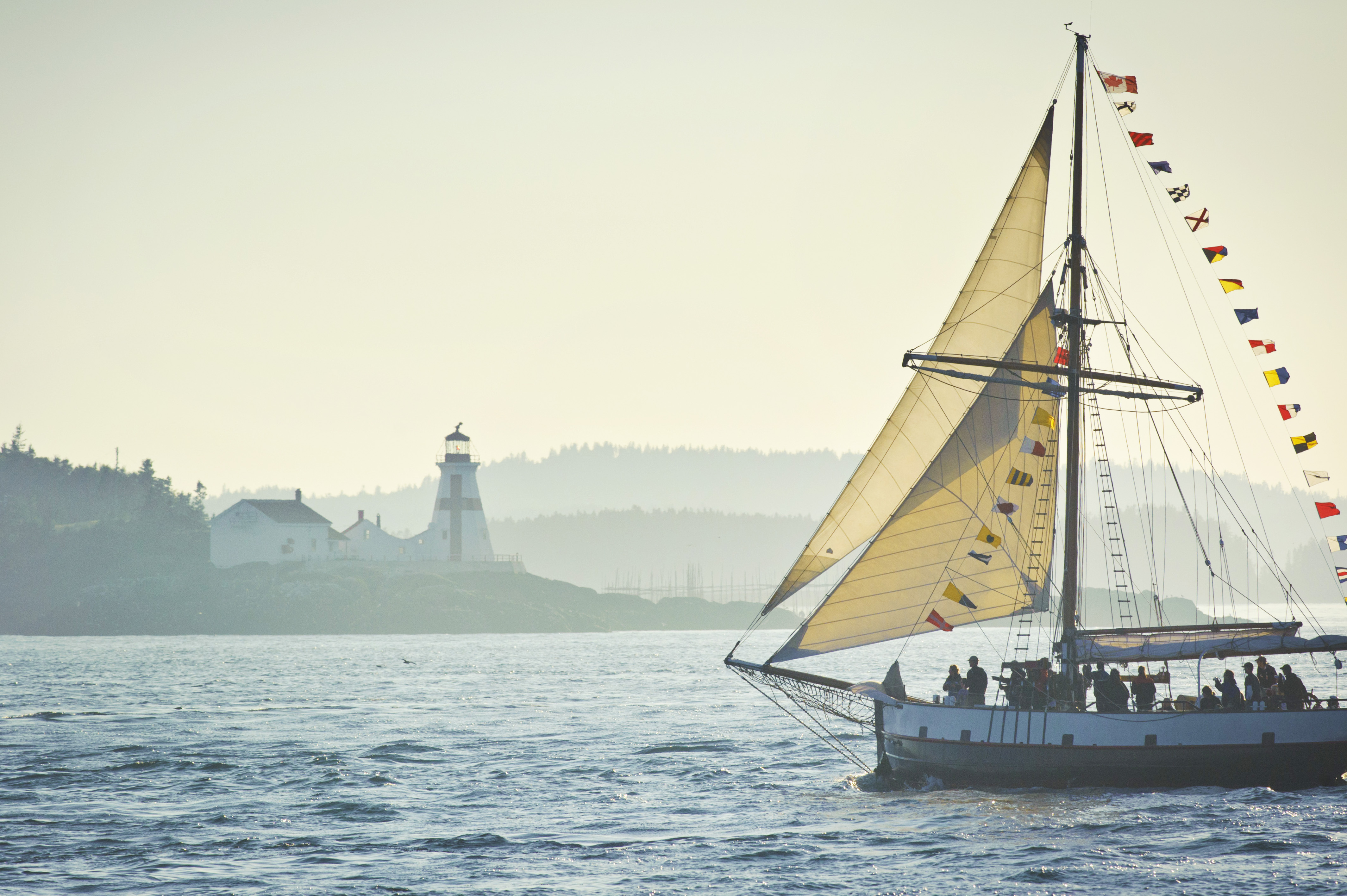 Jolly Breeze Tall Ship Whale Adventures in St. Andrews, New Brunswick