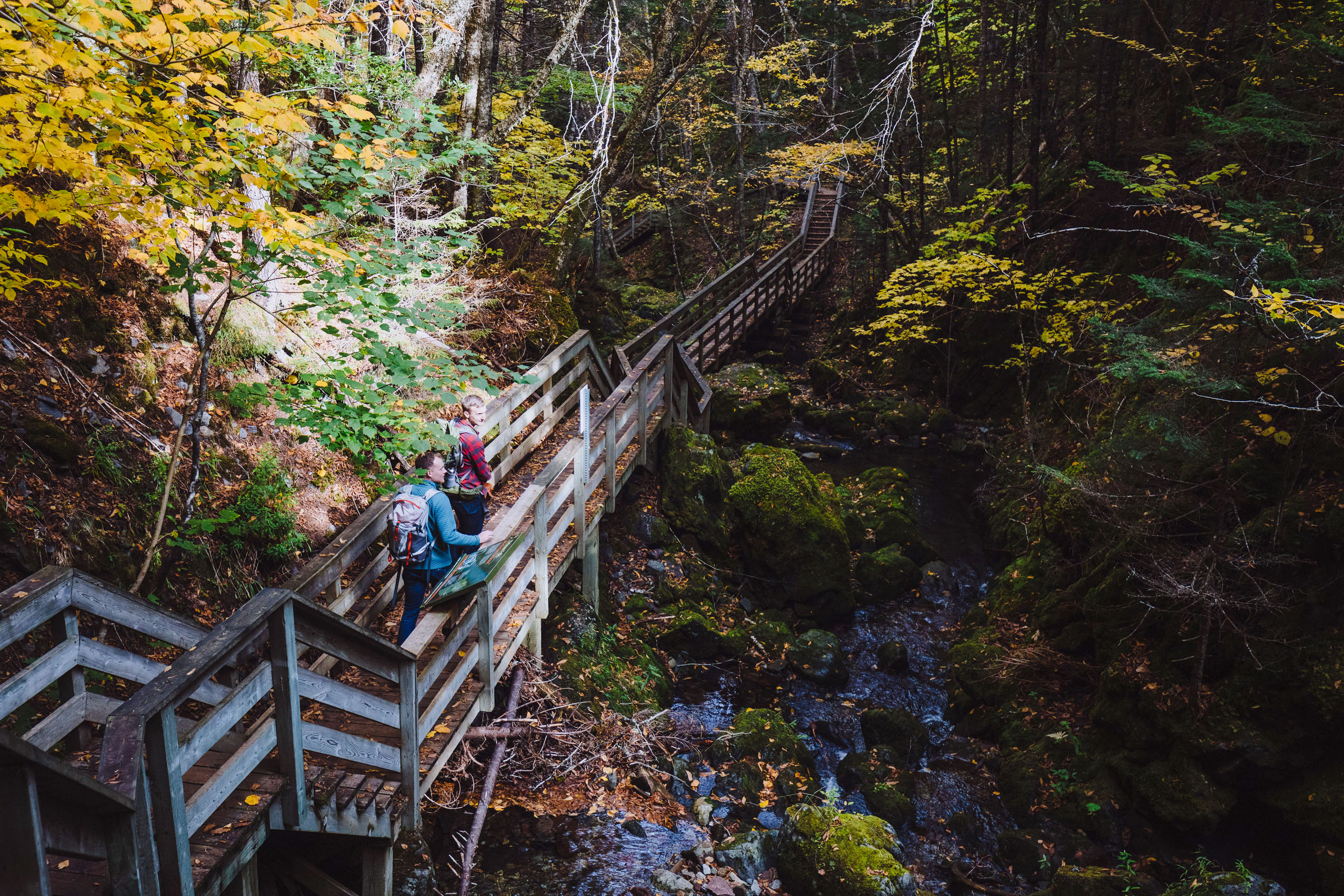 Unterwegs im Fundy National Park in New Brunswick