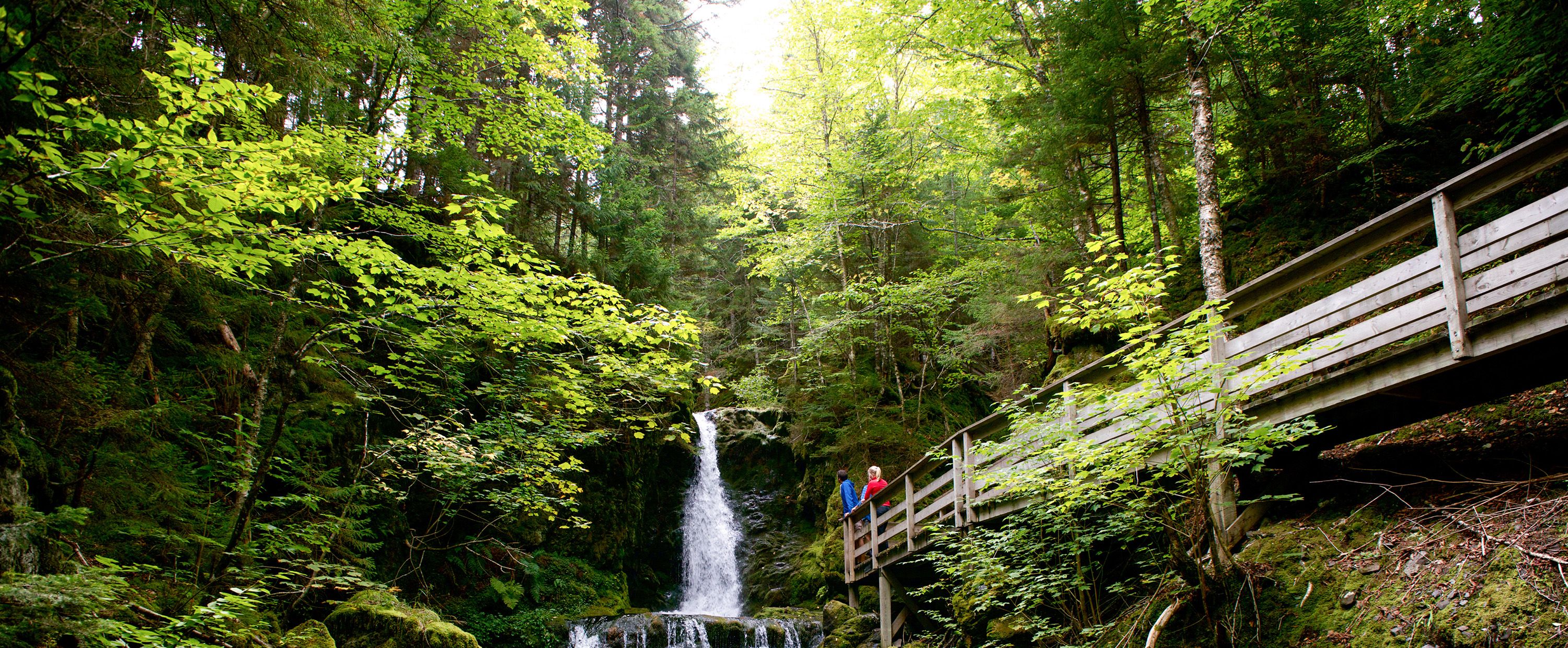 Unterwegs auf abenteuerlichen Wegen im Fundy National Park in New Brunswick