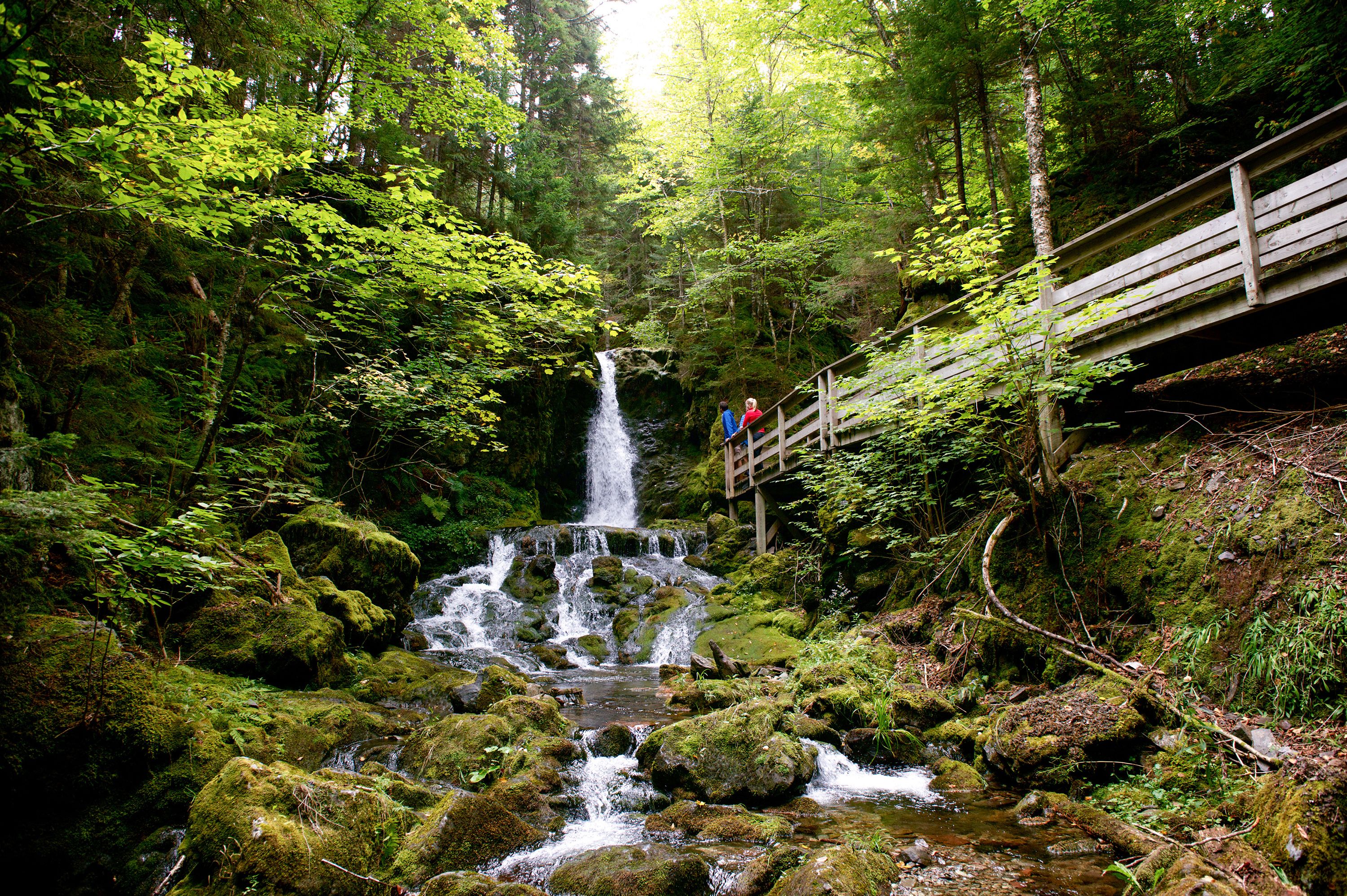 Unterwegs auf abenteuerlichen Wegen im Fundy National Park in New Brunswick