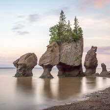 regionen/kanada/atlantikkanada/newbrunswick/hopewell-rocks/hopewell-rocks-dawn.cr1665x1666-595x0 regionen/kanada/atlantikkanada/newbrunswick/hopewell-rocks/hopewell-rocks-dawn.cr1665x1666-595x0