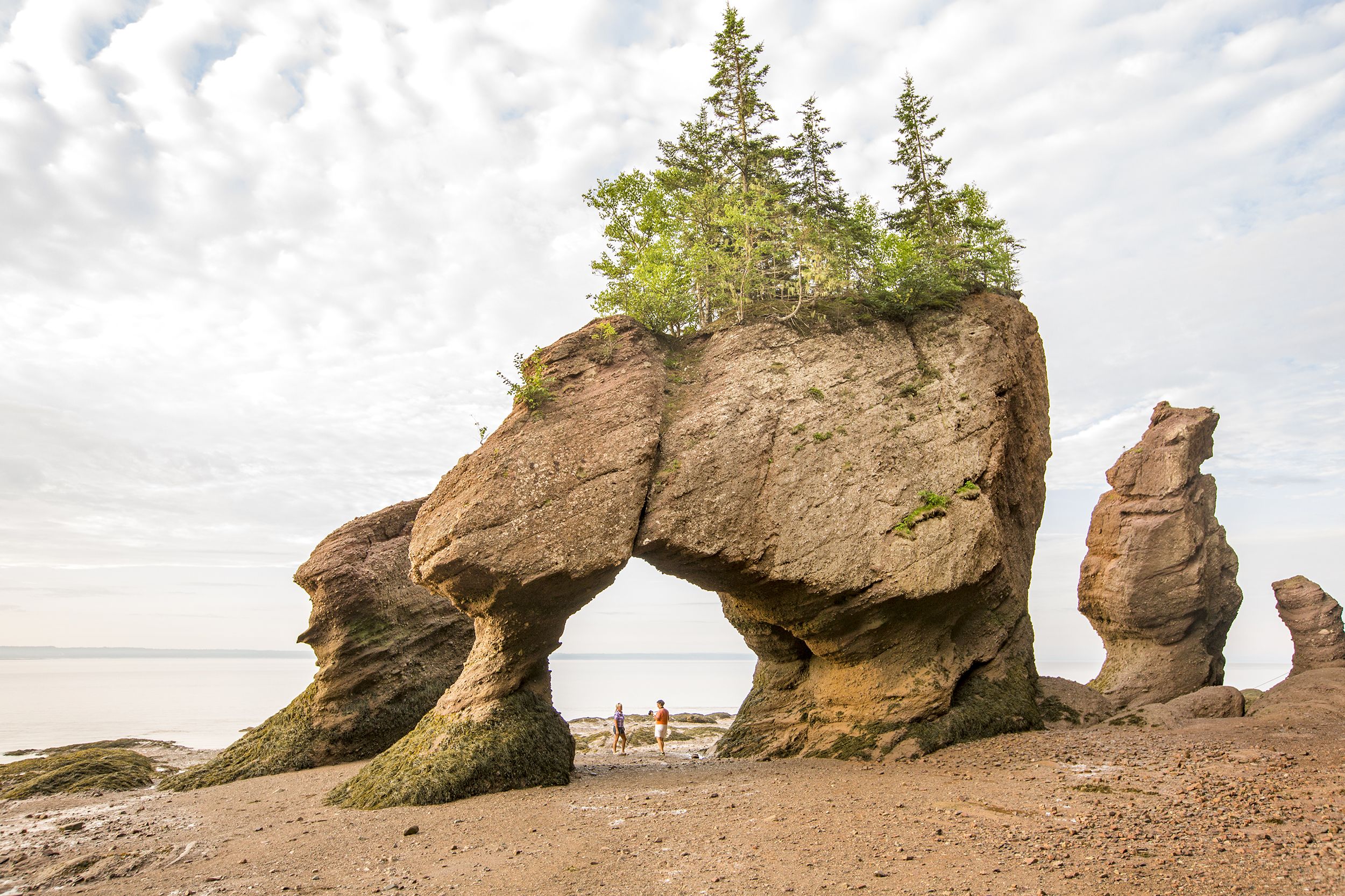 Die Hopewell Rocks in New Brunswick, Kanada