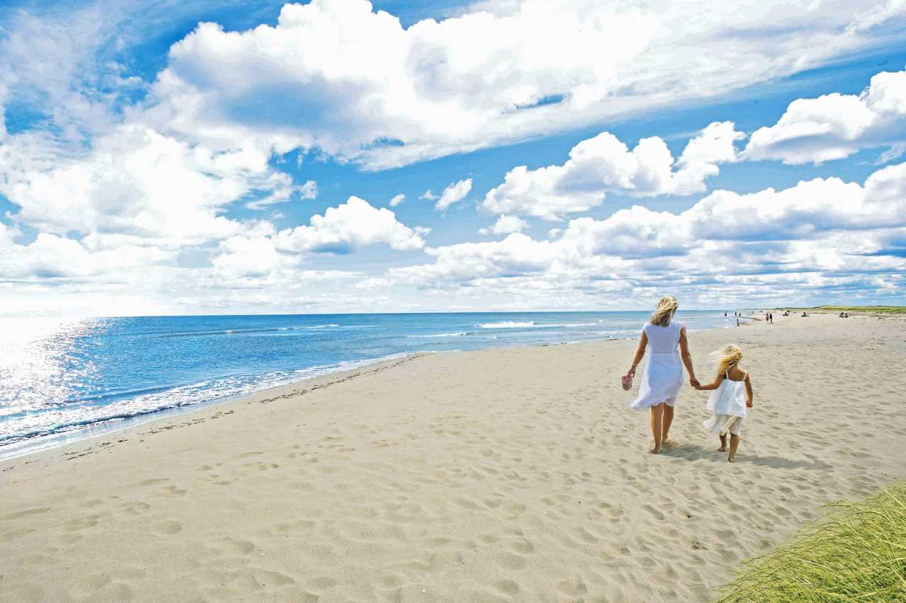 Download Sterne moebel kueste oregon For Android Sterne Moebel Kueste Oregon