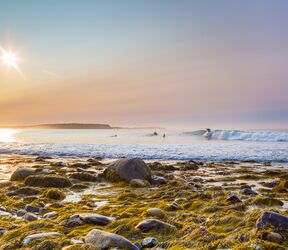 Surfen an der KÃ¼ste von Halifax