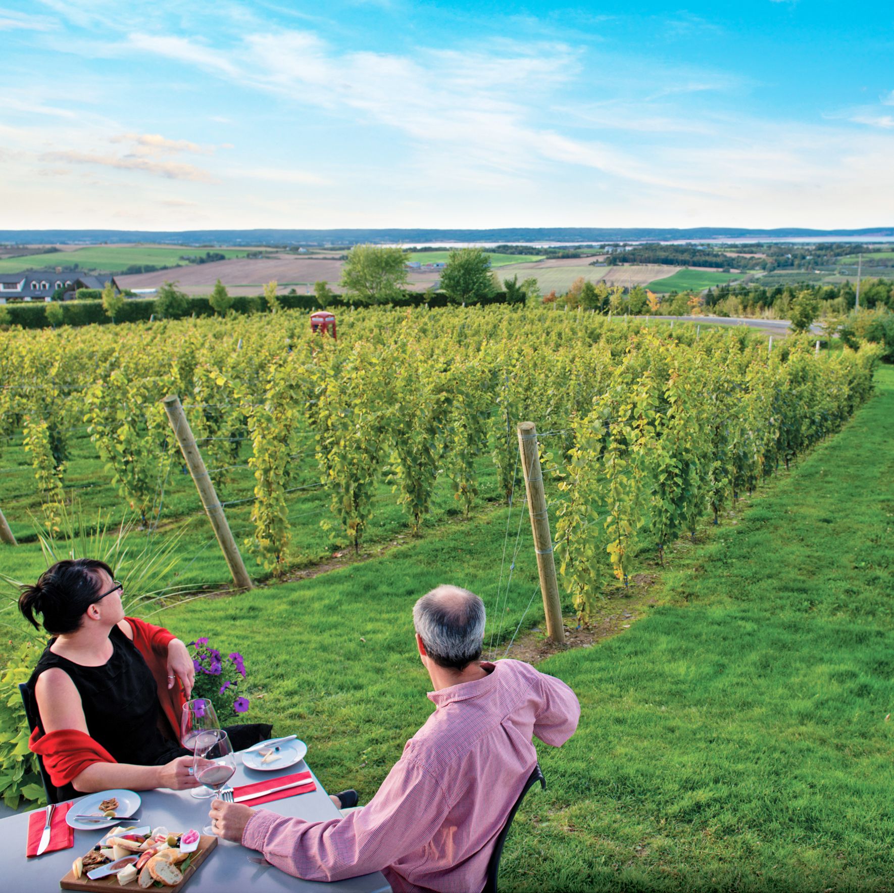 Weinberge in Nova Scotia