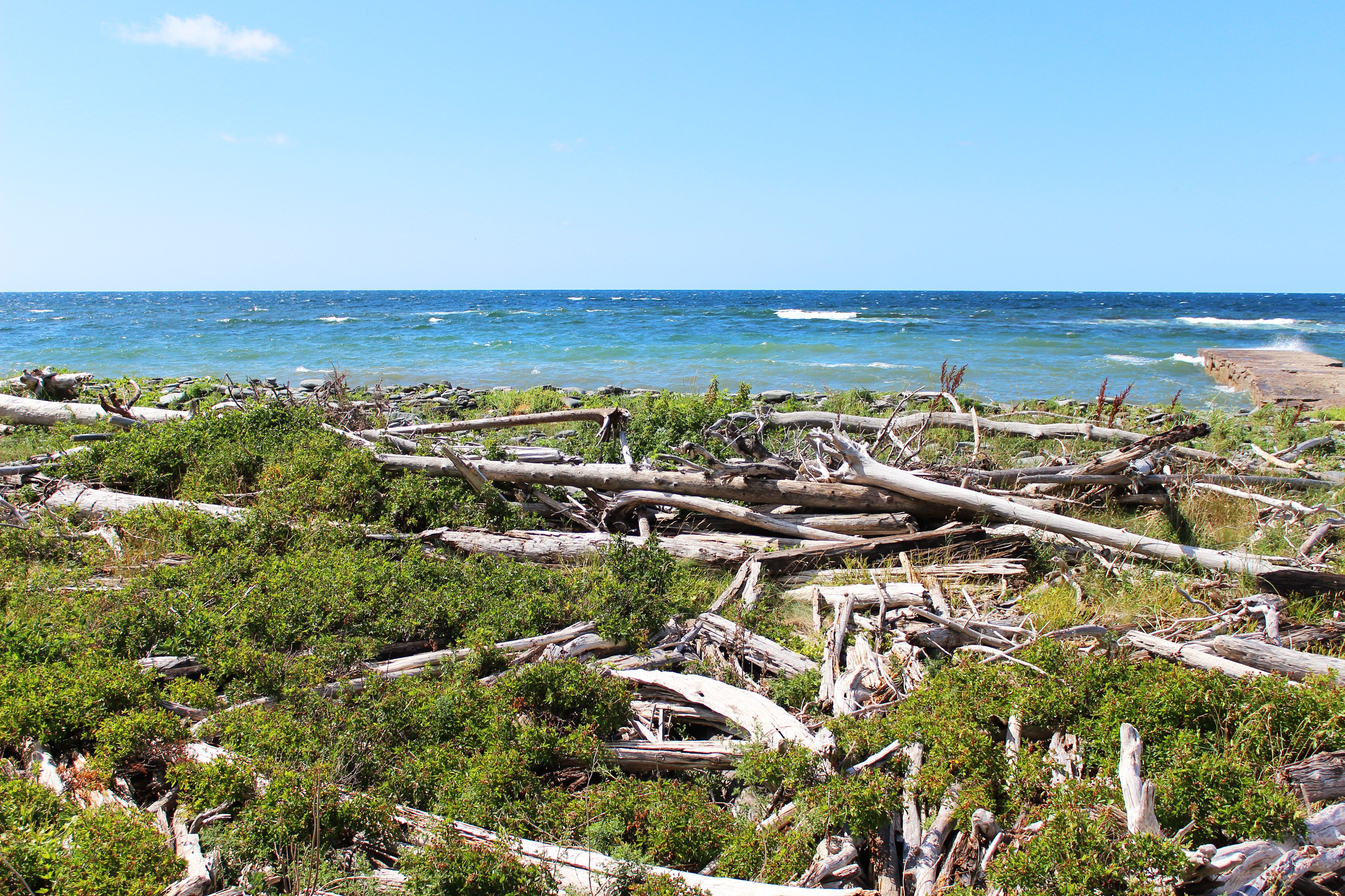 Strand im Cape Breton Highlands National Park
