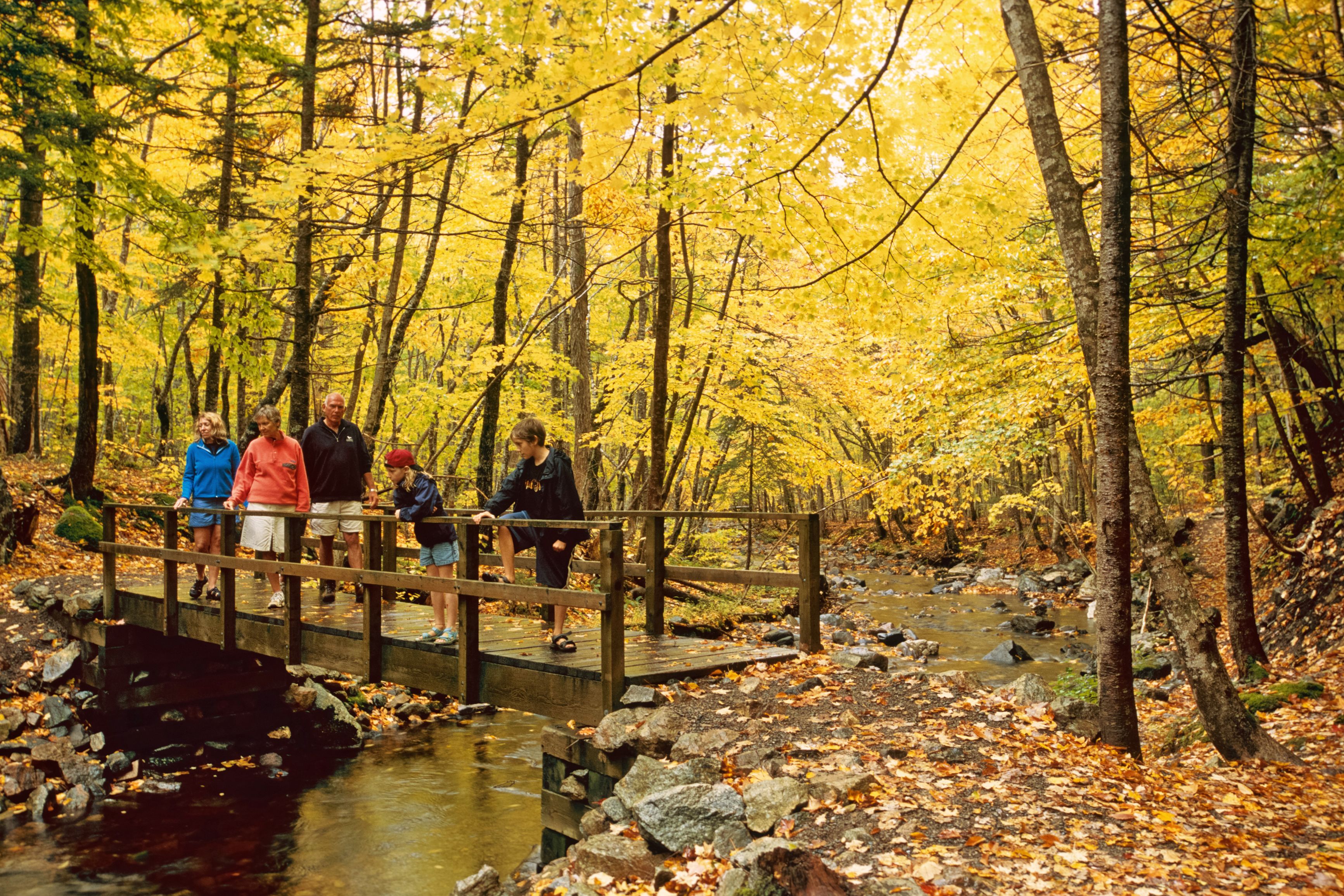 Wandern auf dem Macintosh Brook Trail im Cape Breton Highlands National Park, Nova Scotia