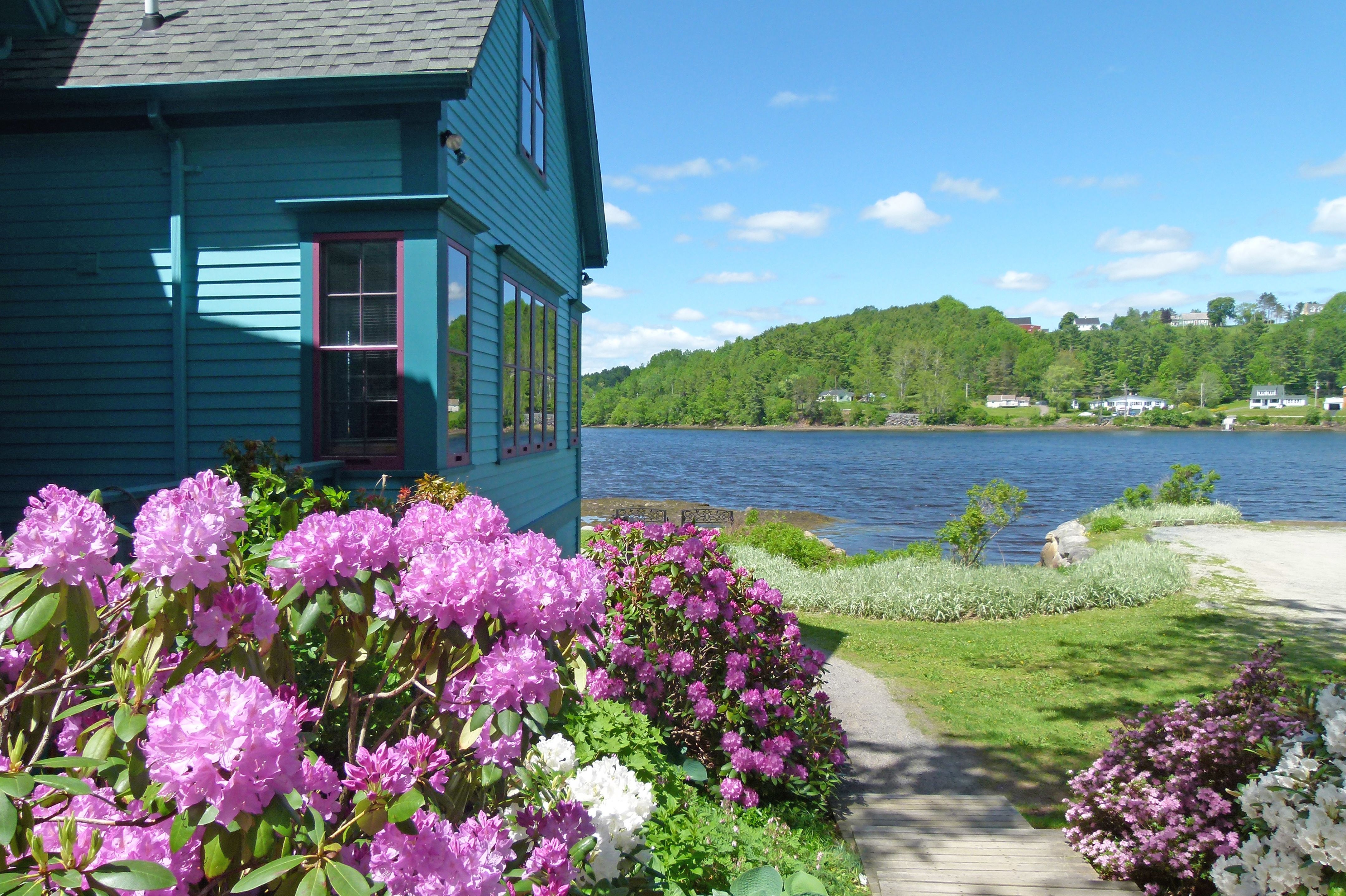 leuchtende Blumen Mahone Bay Lighthouse Trail