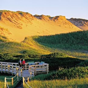 Wanderer in den Greenwich Dunes