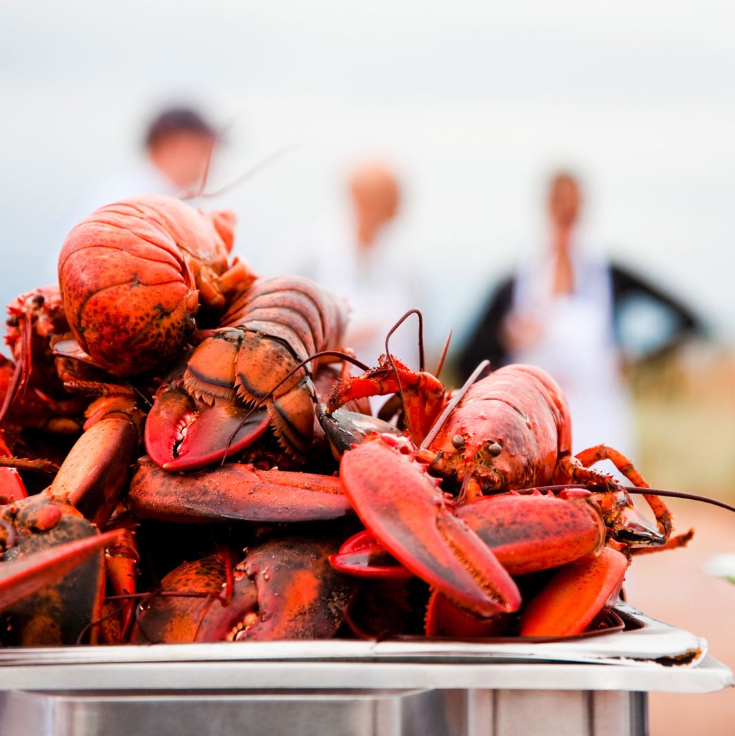 Lobster Party, PEI Lobster Party, PEI