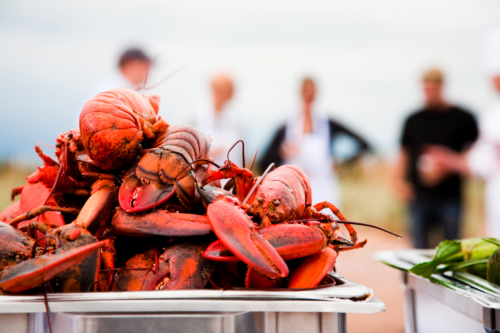 Lobster Party, PEI Lobster Party, PEI