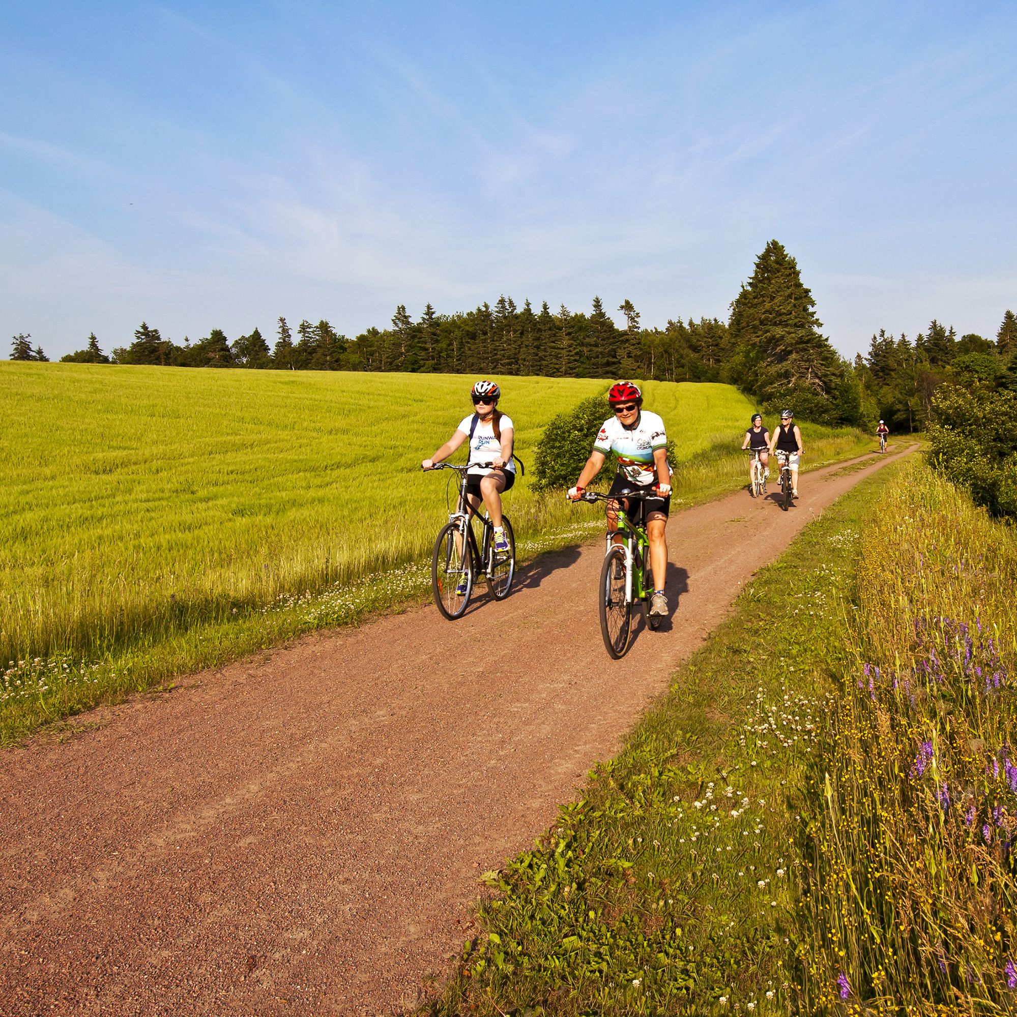 Confederation Trail auf der Prince Edward Island