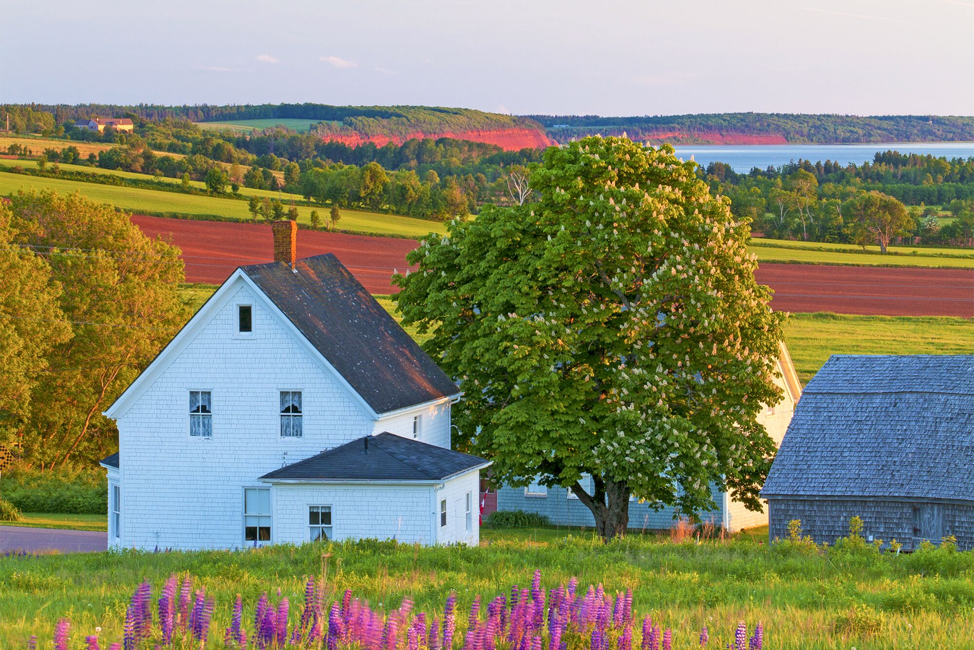 Ein bezaubernder Sommerabend bei Orwell Cove auf Prince Edward Island