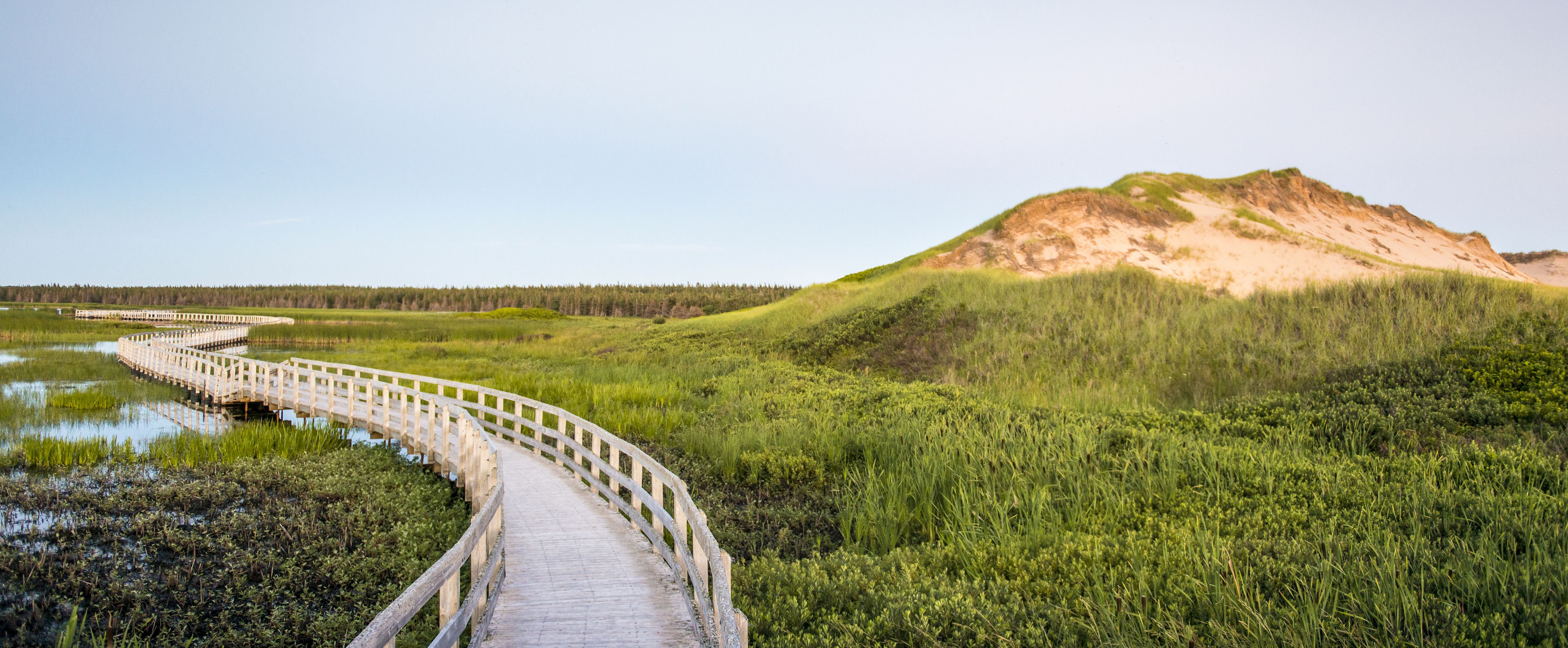 Ein Steg entlang des Havre-Saint-Pierre Trails bei Greenwich im Prince Edward Island National Park