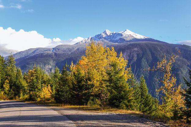 Herbst im Mount-Revelstoke-Nationalpark in der kanadischen Provinz British Columbia Herbst im Mount-Revelstoke-Nationalpark in der kanadischen Provinz British Columbia