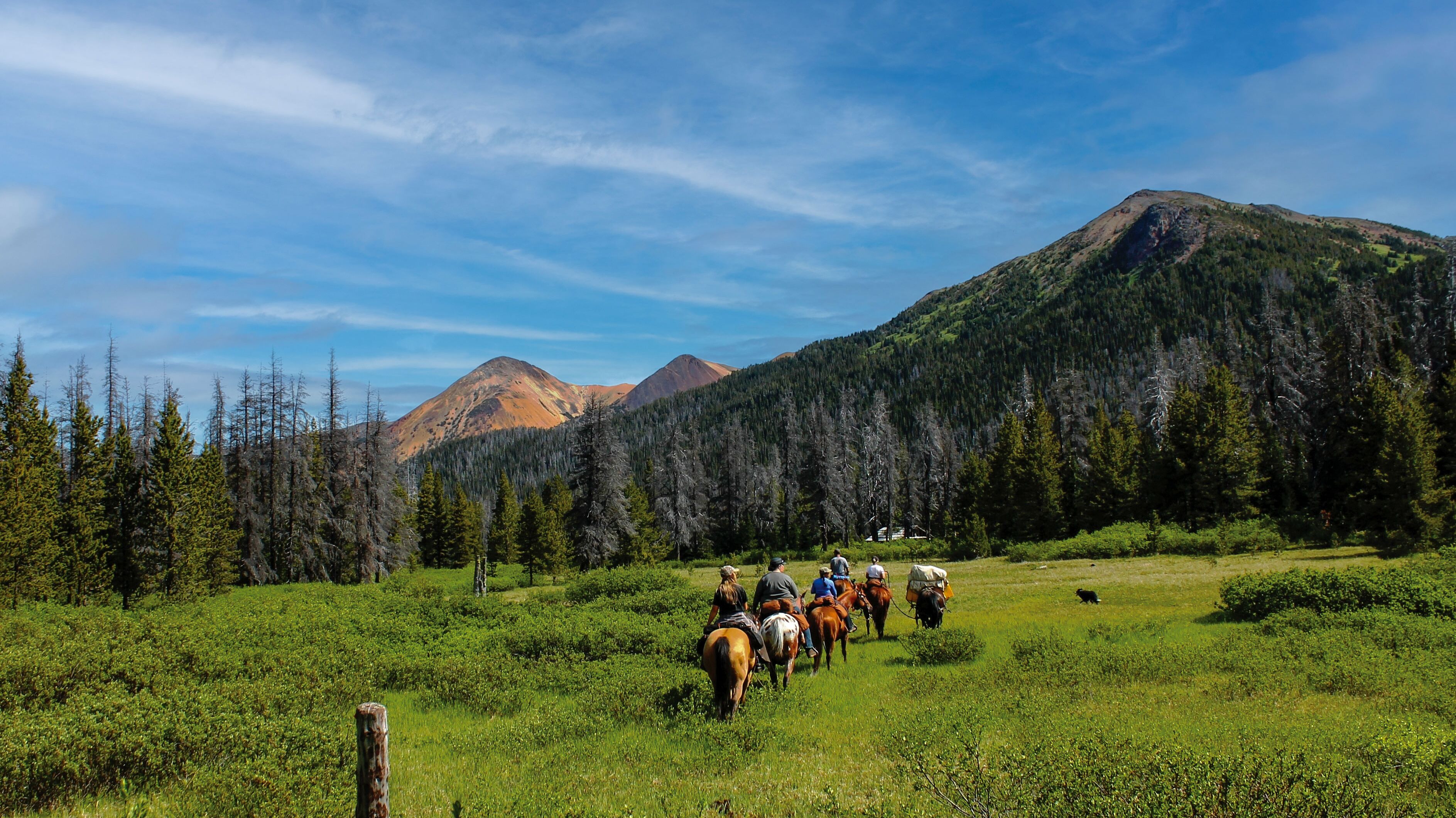 Entschleunigung pur: Mit dem Pferd entlang des Gold Rush Trails