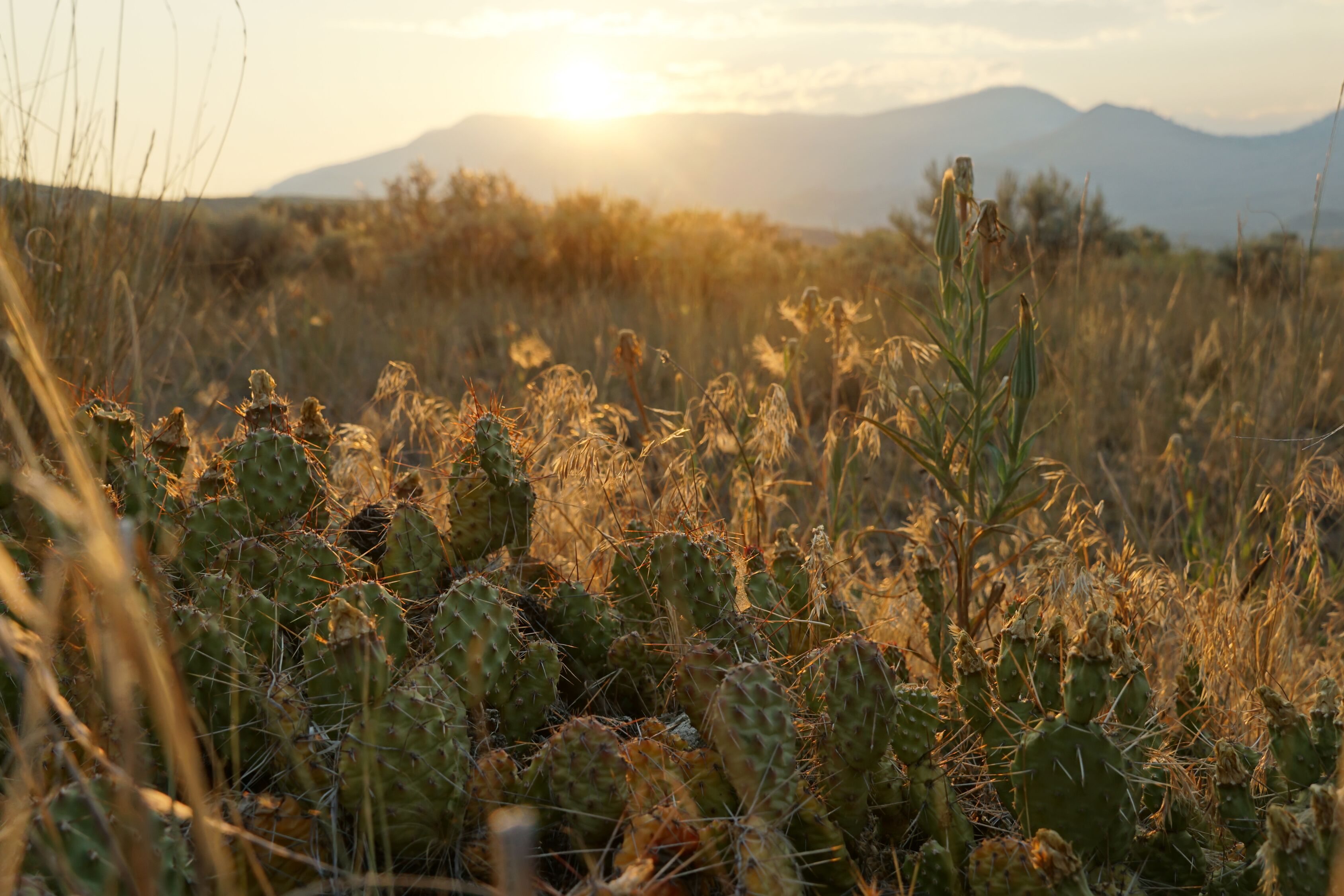 Idyllischer Juniper Beach Provincial Park in British Columbia
